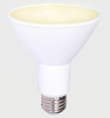 LAMPARA LED PAR 10W3000KE27800LM