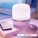INTERIOR DECORATIVO 12.5W100-127VRGB710L