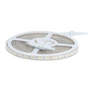 Tira flexible de LED 3528 SMD 127V IP45 Luz de Día