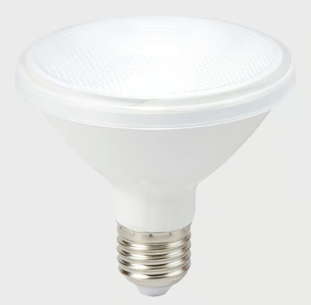 LAMP LED PAR30 13W 100-240V 6500K E27 900LM LUZ DE DIA