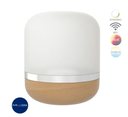 LUM SMART DECORATIVO 12.5W 100-127V MULTICOLOR COMPATIBLE CON ALEXA